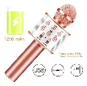 MICROFONO INALAMBRICO KARAOKE BLUETOOTH Y BOCINA DIVERSION
