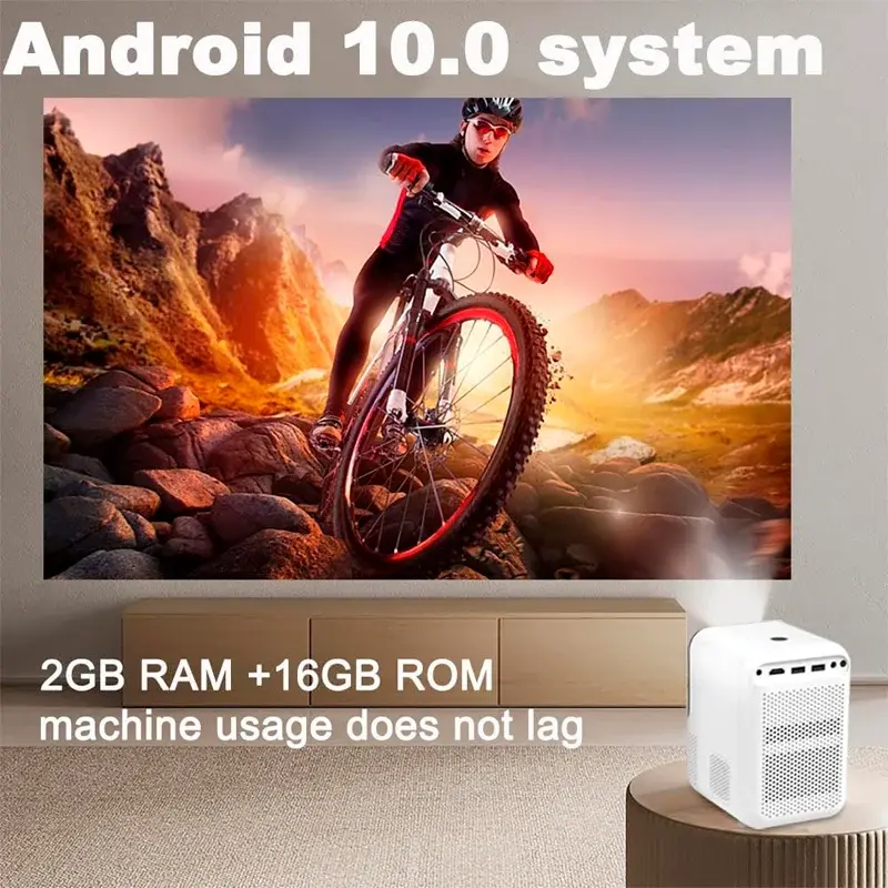 X10PROY2.webp