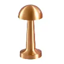SD0194-600x600.webp