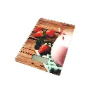 20250909_160639 (4).webp