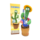 CACTUS BAILARIN CON CAJA