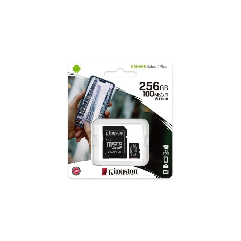 [F-L006] MEMORIA KINGSTON 256GB L