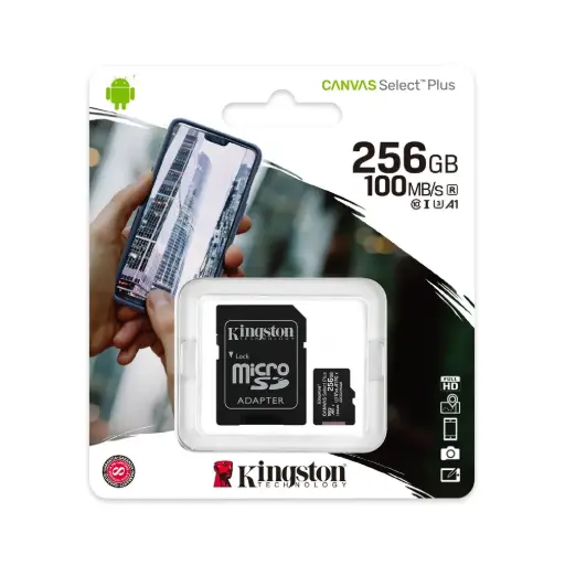 [PAA77911] KINGSTON MEMORIAS 256GB (779) ()__BULTO X 100