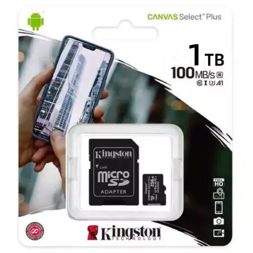 [F-L008] MEMORIA KINGSTON 1TB L